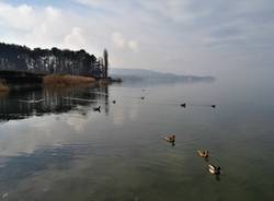 Foto di Giancarlo Tiranti: il golfo della Quassa a Ispra