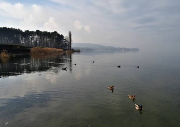 Foto di Giancarlo Tiranti: il golfo della Quassa a Ispra