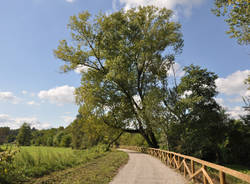 pista ciclabile valle olona