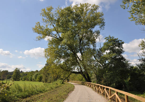 pista ciclabile valle olona