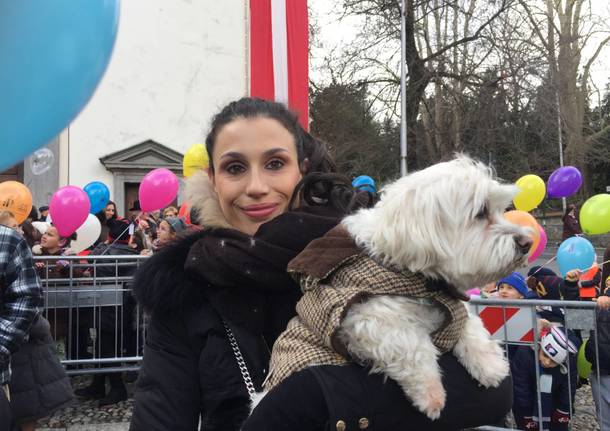 Animali in festa per la benedizione di sant’Antonio