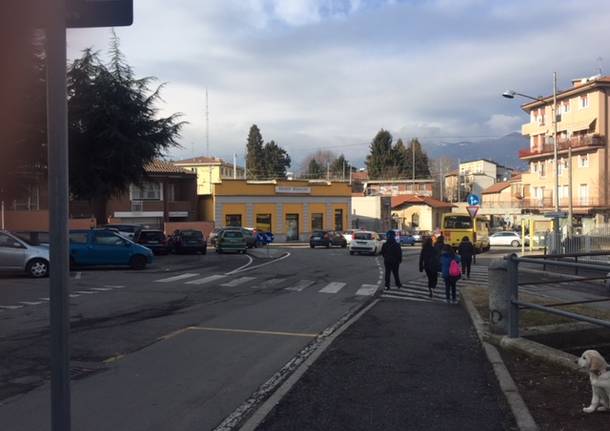 scuole luino