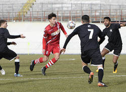 Varese - Casale 1-2