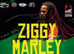 ziggy marley