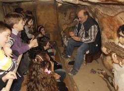 bus museo preistoria