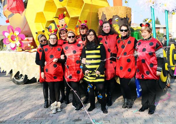 Il carnevale a Vergiate