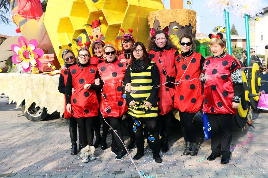 Il carnevale a Vergiate