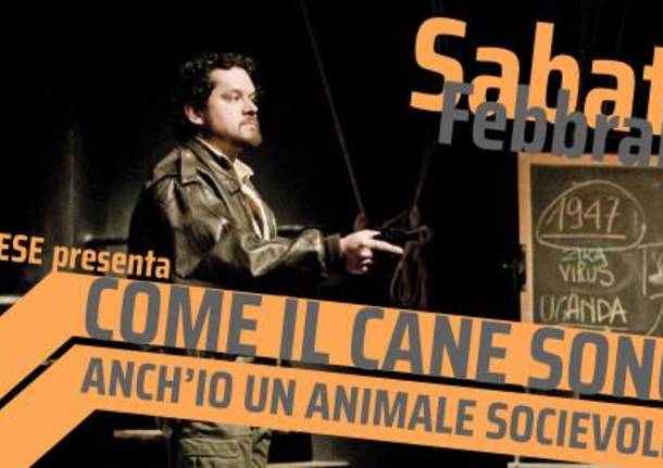 Come il cane anch'io sono un animale socievole