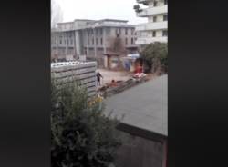 gallarate generico
