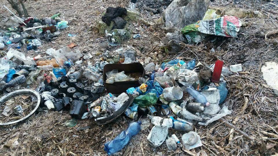 giornata ecologica besozzo 4 febbraio 2018