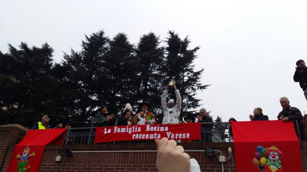 Il Carro più bello del Carnevale Bosino 