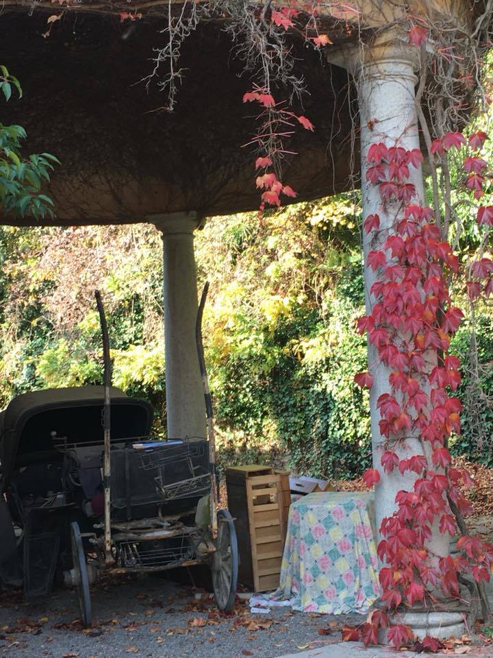 Induno Olona -  Degrado a Villa Castiglioni