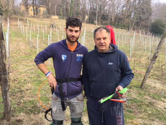 La vigna Cassiciacum a Casciago
