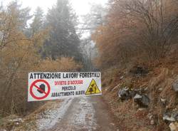 lavori parco dei fiori post incendio 