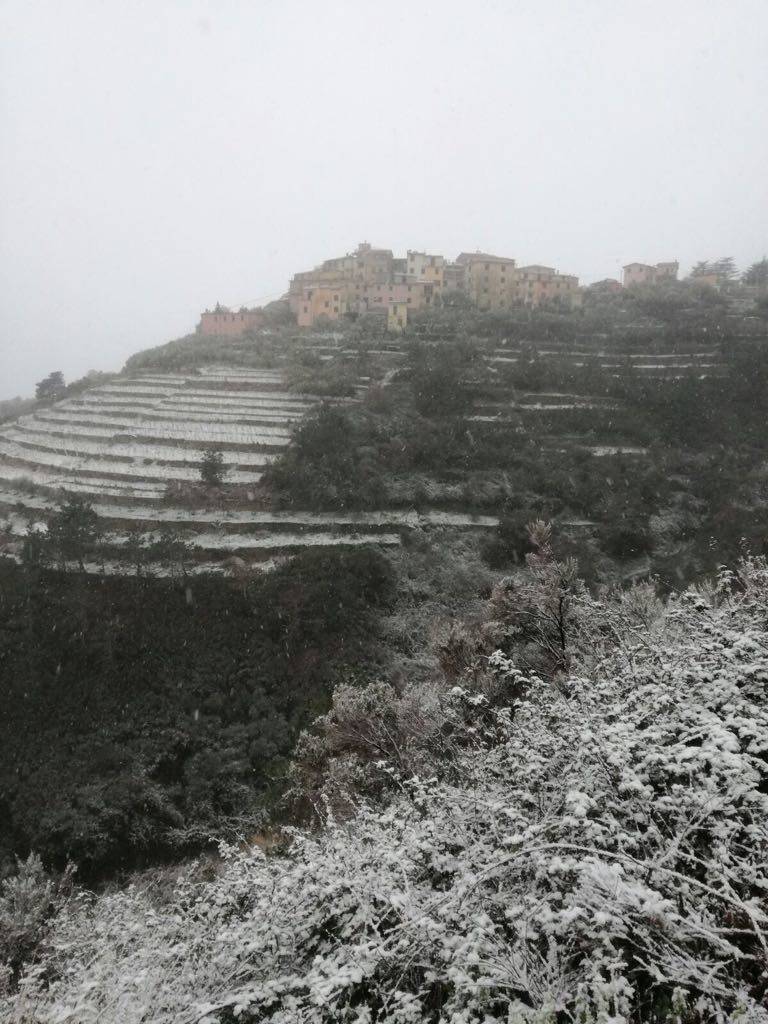 liguria 5 terre neve 25 febbraio