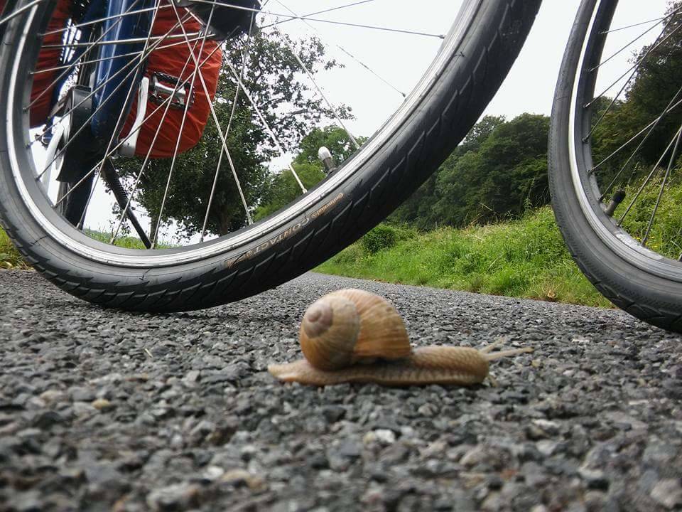 M'illumino di meno 2018 - 1