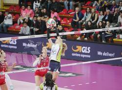 Uyba travolge il Bisonte di Firenze