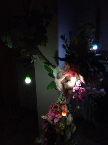 WhatsApp Image 2018 02 23 at 19 49 34  2 