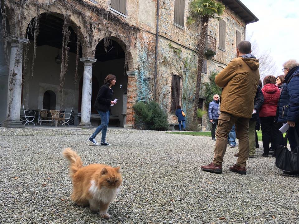 azzate visita turistica studenti isis stein