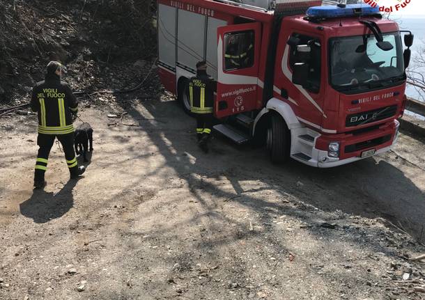 Il cane salvato dai pompieri