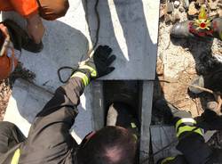 Il cane salvato dai pompieri