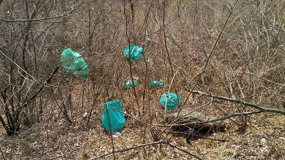 Valcuvia e Luinese: trade pulite grazie al super volontario