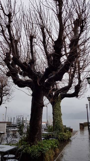 Luino, la piazza discussa