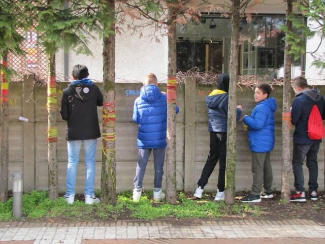 IMG 9574