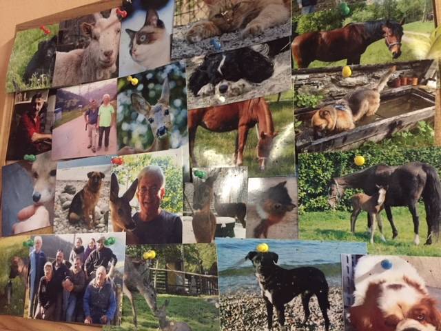 Incendio Azzio, le indagini