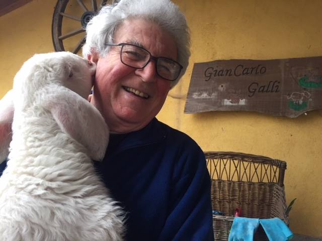 Incendio Azzio, le indagini