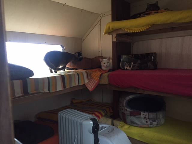 Incendio Azzio, le indagini