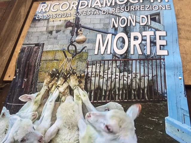 Incendio Azzio, le indagini