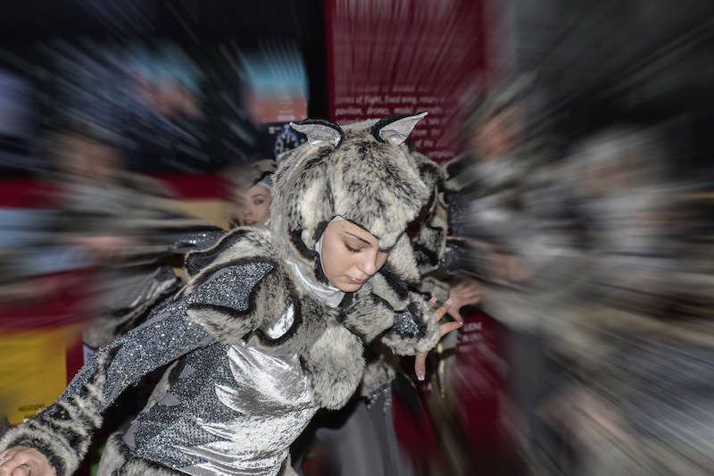 La rotellistica gallaratese a Volandia