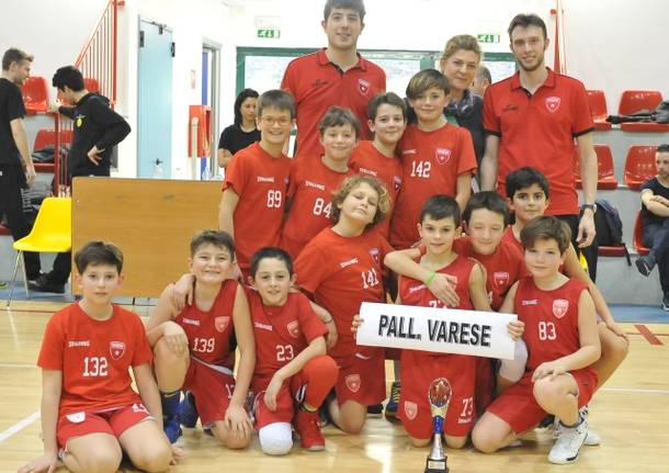 minibasket pallacanestro varese 2018