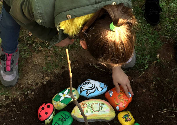 venegono inferiore - kaki tree project