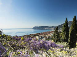 villa la pergola alassio