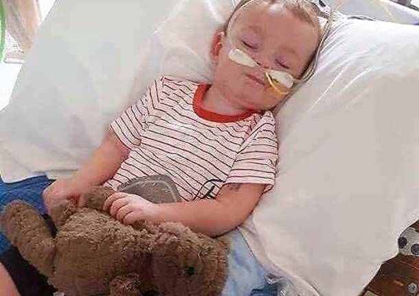 alfie evans