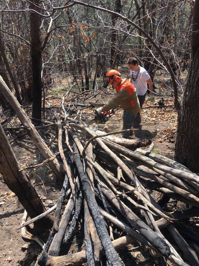 Barasso - Grandi pulizie con gli scout tra Barasso e Luvinate