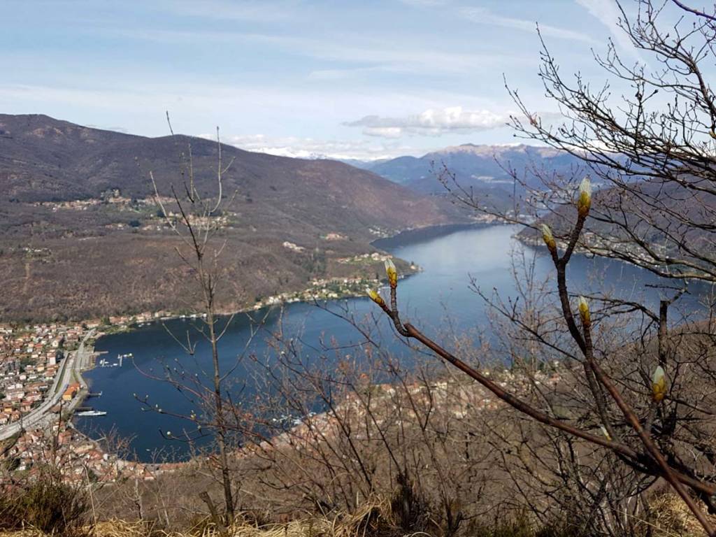 Besano, panorama dal monte Grumello - Foto di Dina Rebeschi