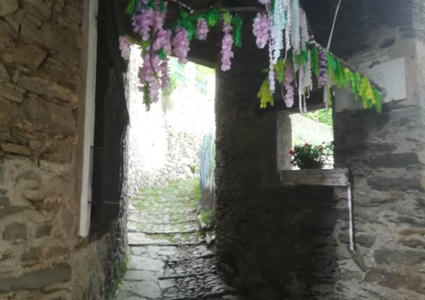 Garabiolo in fiore