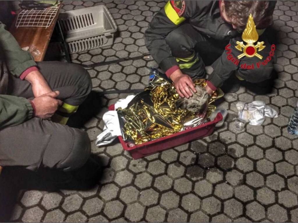 Una settimana sotto le macerie per Ciclamino