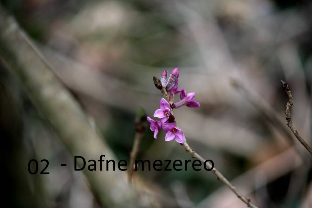 Al Laghetto di Brinzio