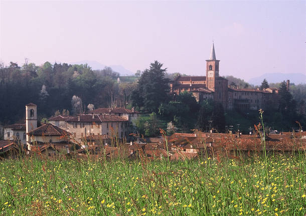 Castiglione Olona generica