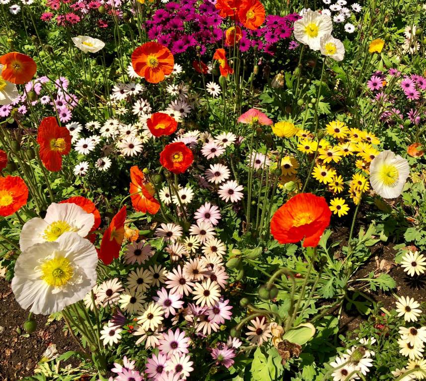concorso la tua primavera