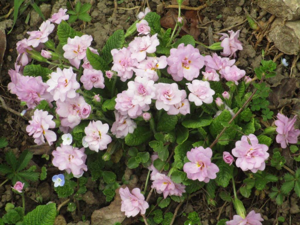 concorso la tua primavera 7