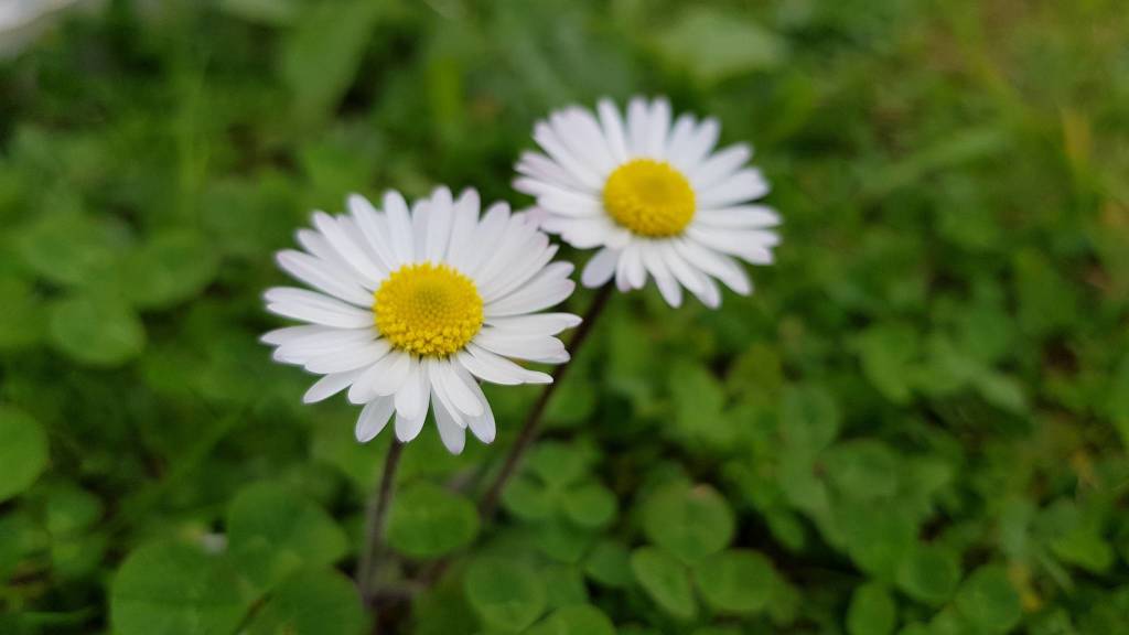 concorso la tua primavera 7