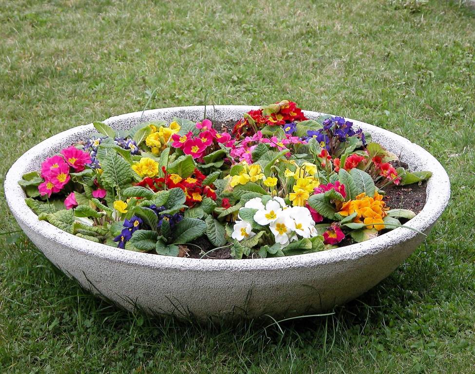 Concorso “La tua primavera”, tutte le foto – 8