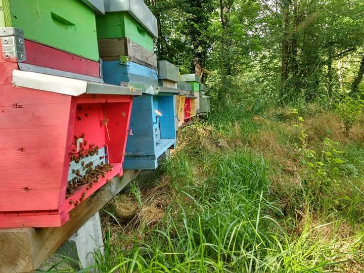 Concorso “La tua primavera”, tutte le foto - 9