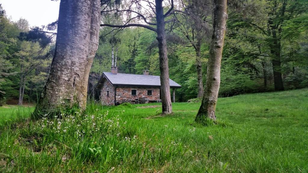 Cusso al Monte - località Stivione - foto di Andrea Betti