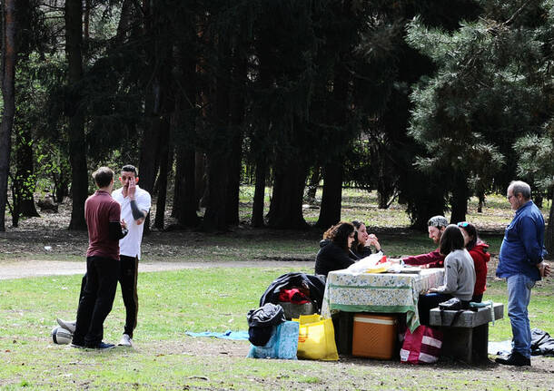 Picnic al Parco Alto Milanese